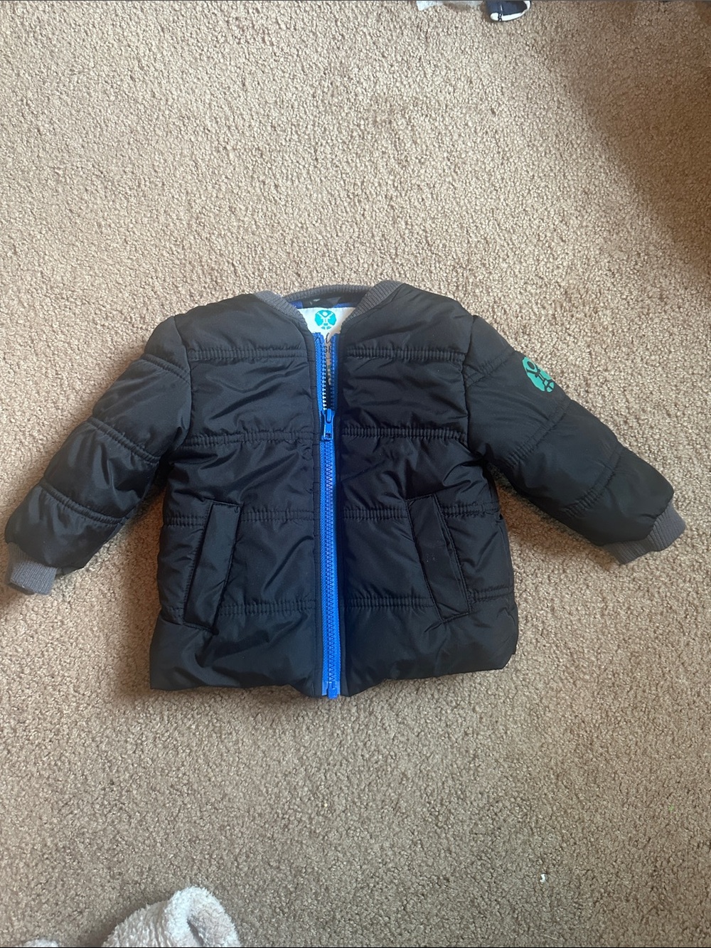 Buckle Black Puffer Jacket with Blue Zipper